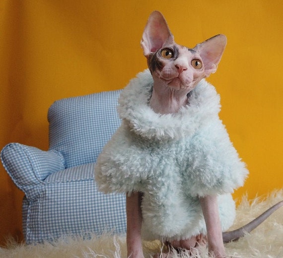 Sphynx Cat Winter Coat Warm And Comfortable Clothes Jacket Ireland Sphynx Cat Winter Coat Warm And, Sphynx Cat Winter Coat
