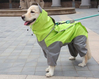 cat tree with plants
