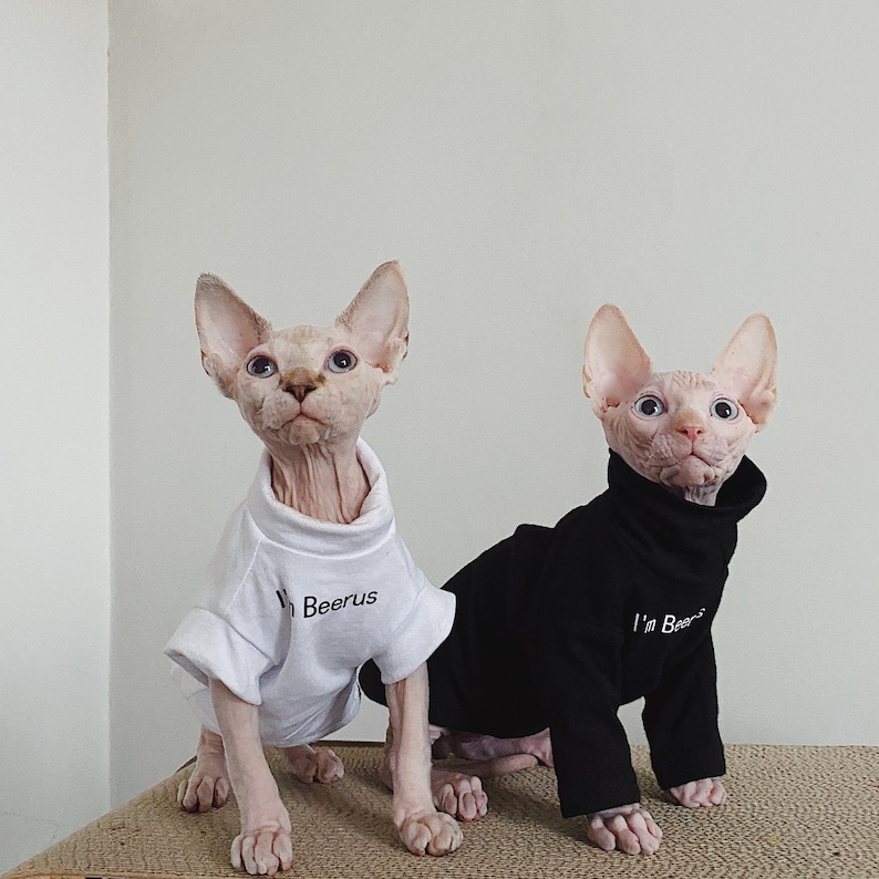 I'm Beerus Sphynx Cat Clothes Sphynx Tshirts Hairless Cat Etsy