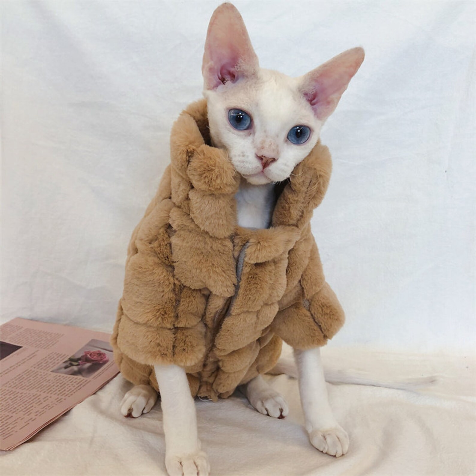 Sphynx Cat Clothes Sphynx Winter Clothes Sphynx Fleece Etsy