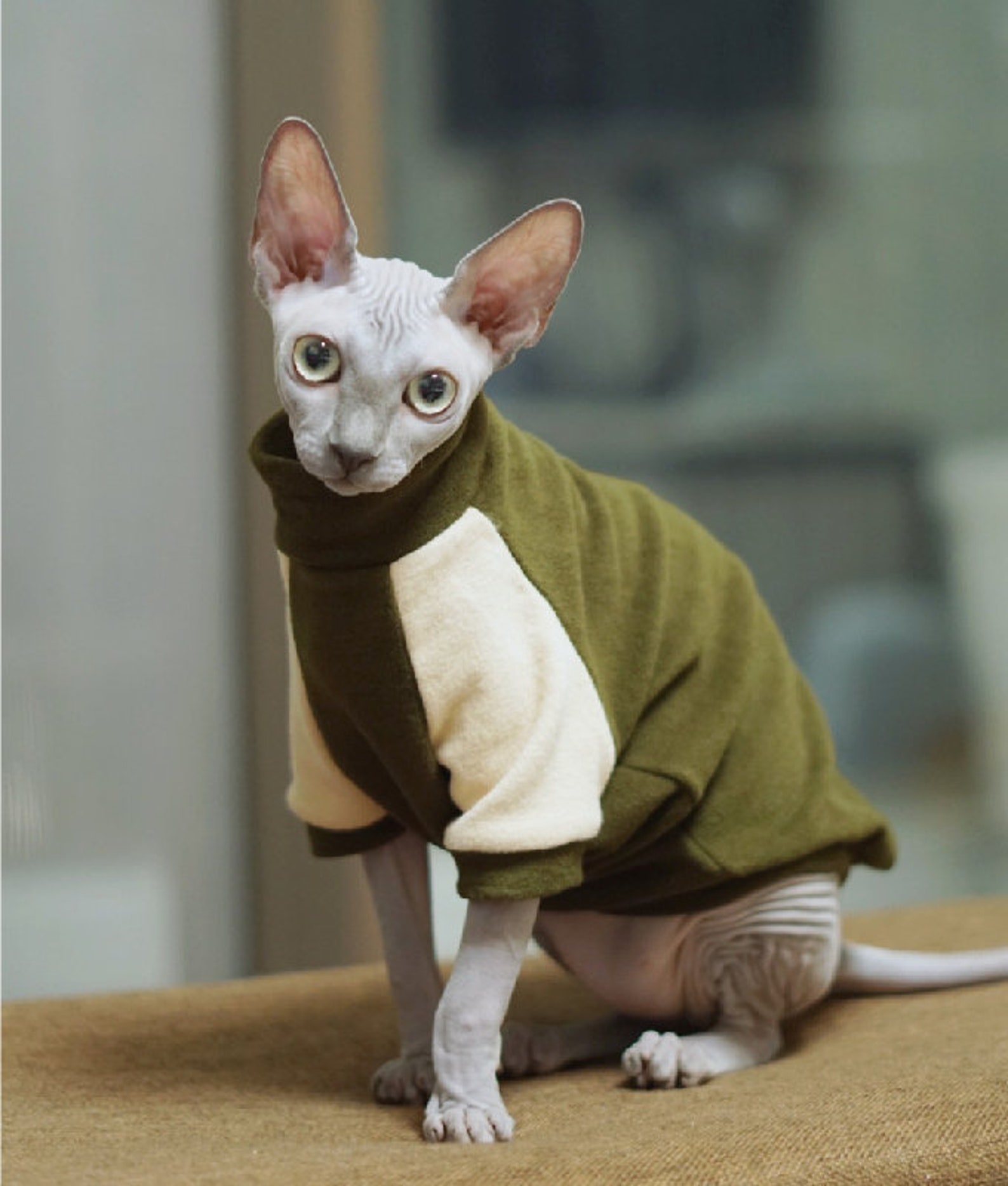 Sphinx Clothes Sphynx Cat Clothes Hairless Cat Tee Shirt Cat & Etsy