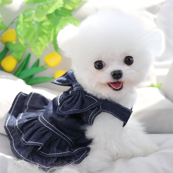 Denim Dog Dress Dog Shirt Small Dog Clothes Cat Clothes Puppy 