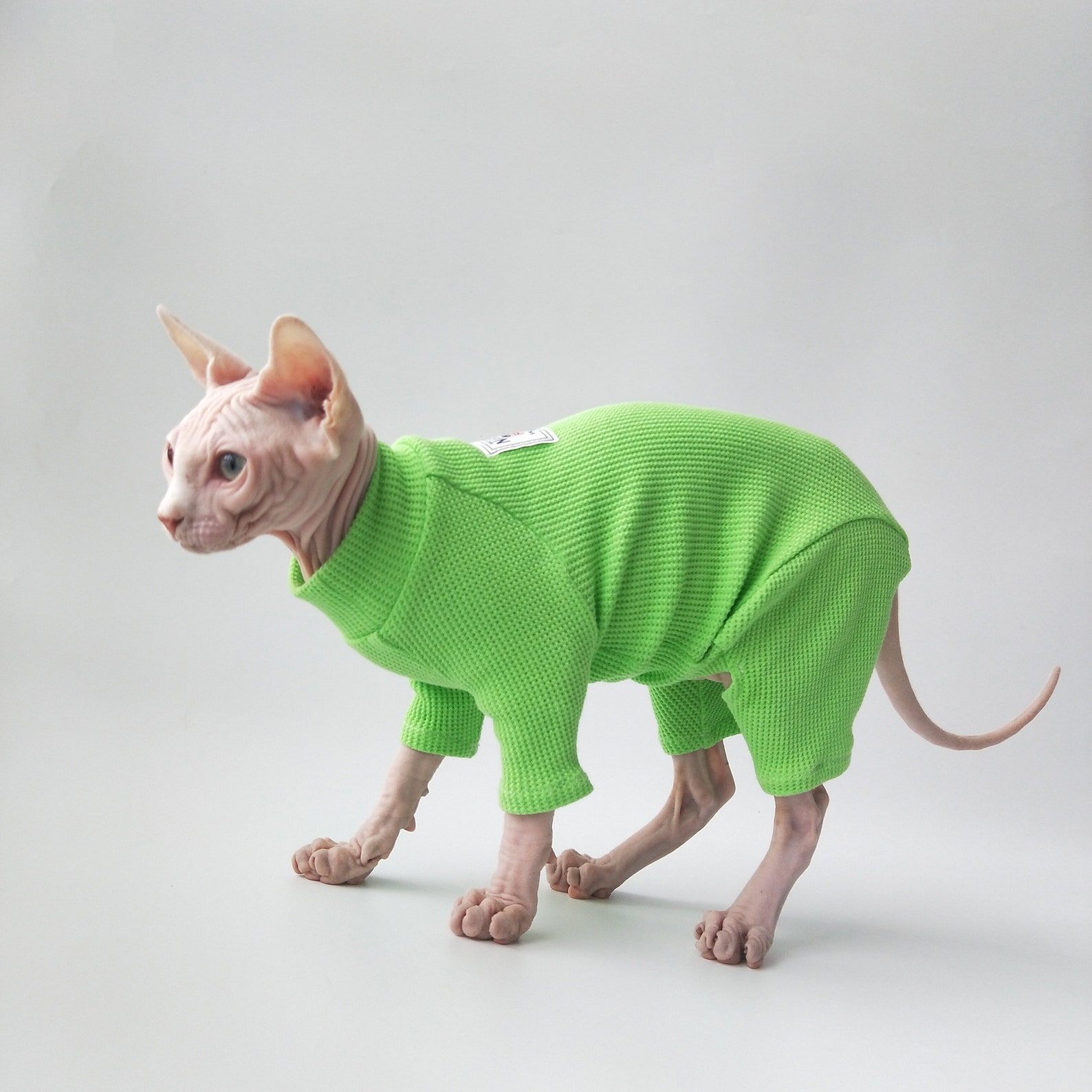 Sphynx Cat Sweater Knitted High Neck Tops Long Sleeve Clothes Etsy