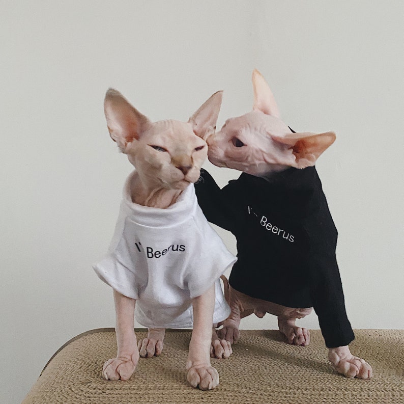 I'm Beerus Sphynx Cat Clothes Sphynx Tshirts Hairless Cat Etsy