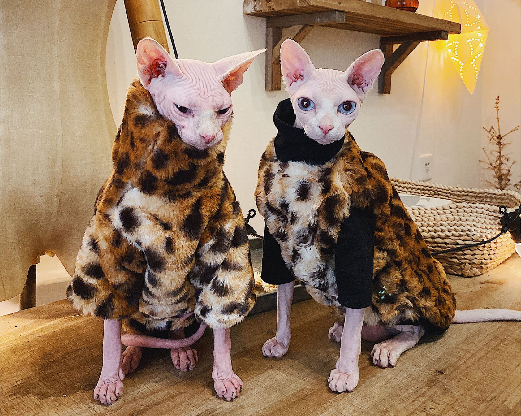 Sphynx Cat Winter Coat Warm and Comfortable Cat Clothes Jacket Etsy
