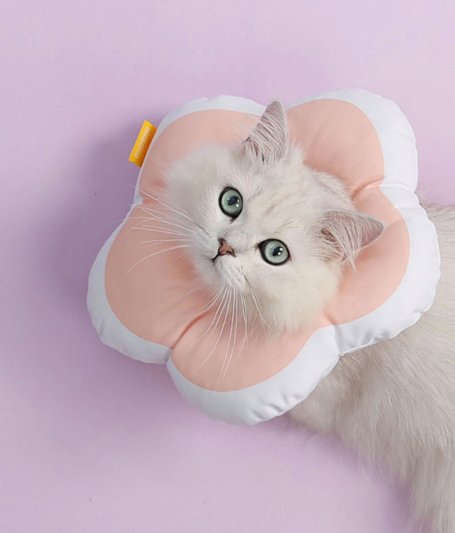 Comfy Cat Recovery Collar Soft Cat Cones After Surgery Etsy