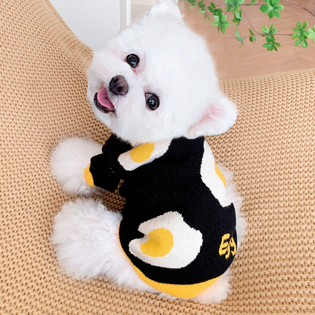 Egg Sweater for Cats and Small Dogs Small Dog Clothes Cute Dog Clothes