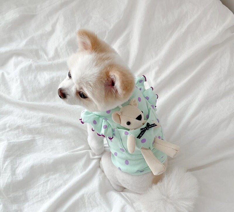 Dog Clothes Puppy Clothes Pet Clothes Soft Cute Teddy Bear Etsy