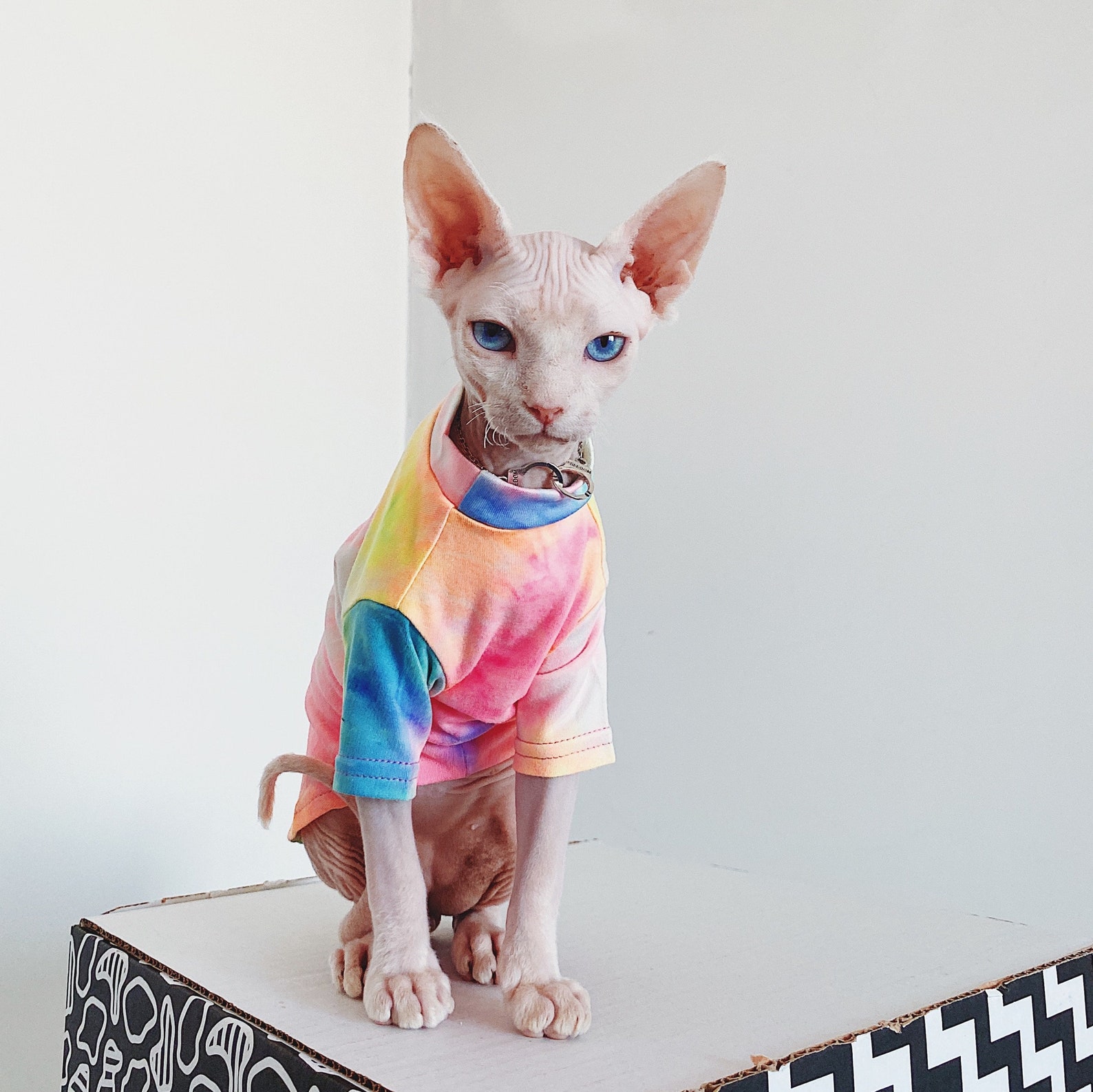 Sphynx Cat Clothes Cat Tie Dye Tee Shirt Cat & Kitten Tops Etsy