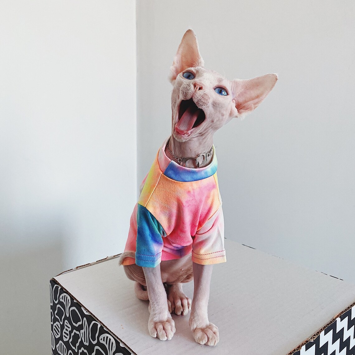 Sphynx Cat Clothes Cat Tie Dye Tee Shirt Cat & Kitten Tops Etsy