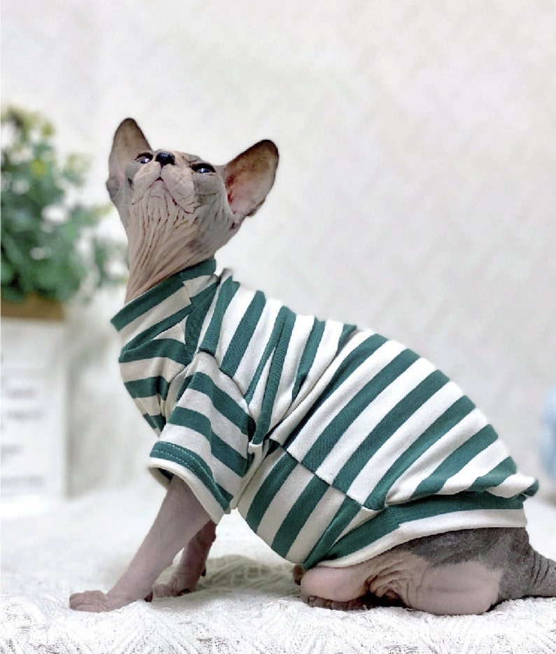 Sphinx Clothes Sphynx Cat Clothes Hairless Cat Tee Shirt Cat & Etsy