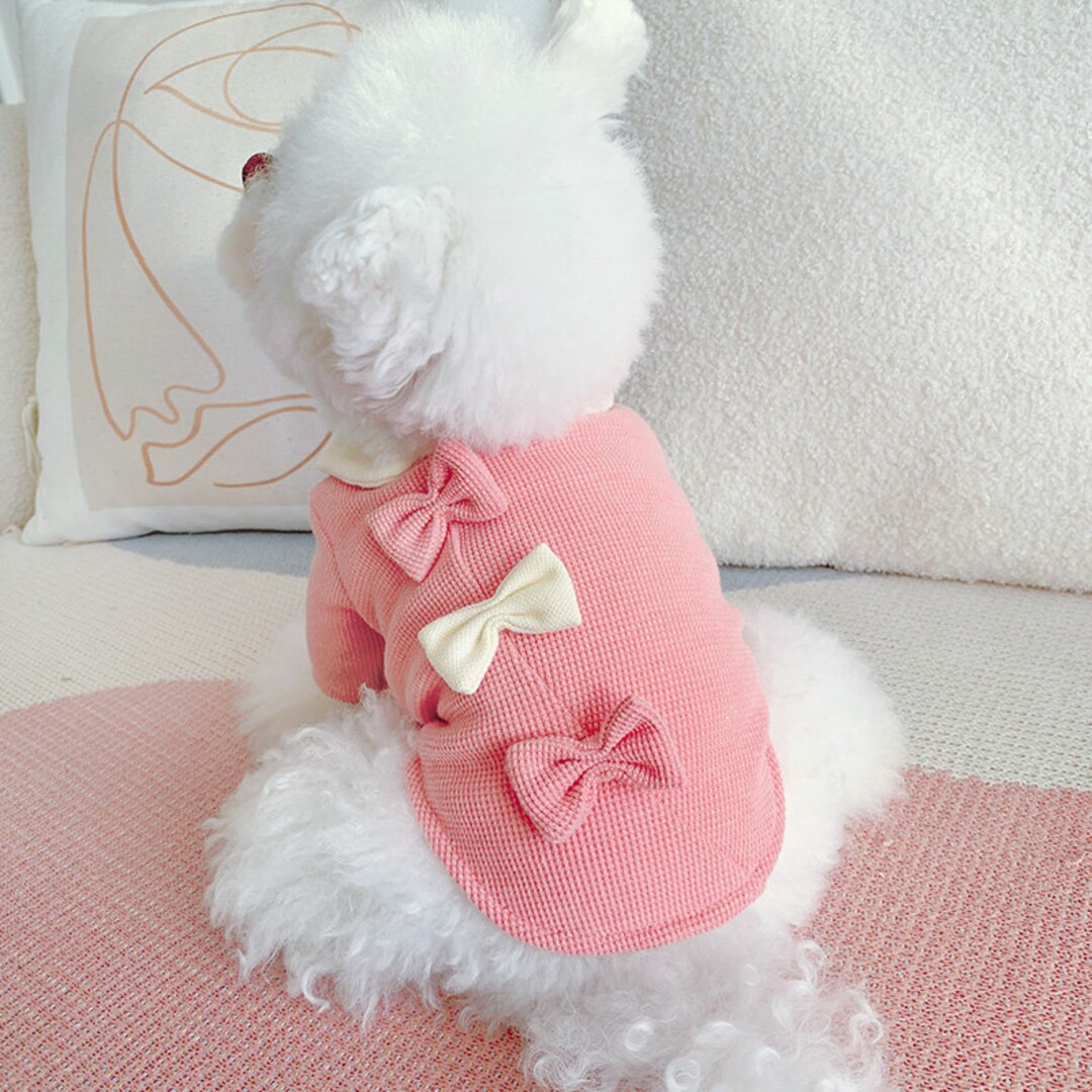 Ribbon Bows Duotone Small Dog Clothes Girl Cat Clothes Girl Etsy