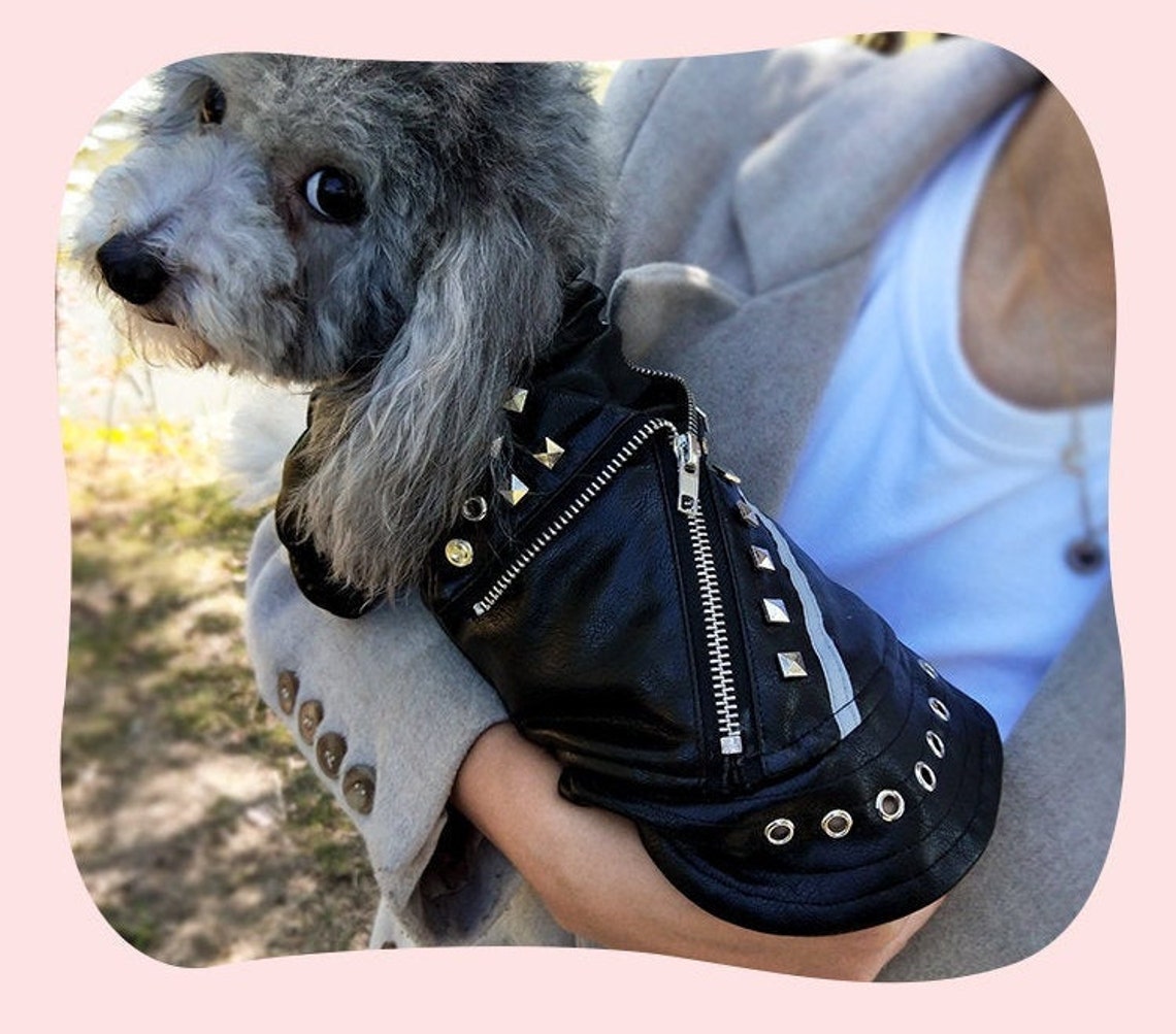 Leather Biker Jacket Dog Jacket Leather Jacket Biker Style Etsy