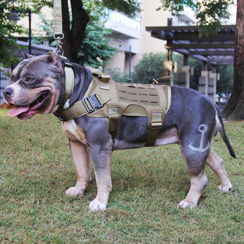 Tactical Dog Harness No Pull With Pouch Military Dog Harness - Etsy