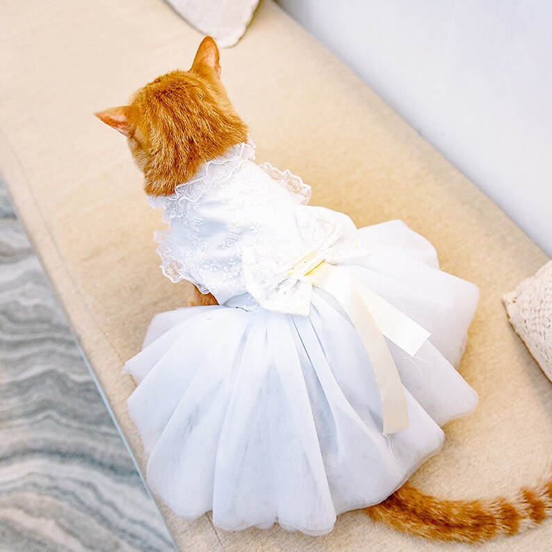 Cat Wedding Dress Bridesmaid White Costume White Bridal Dog Etsy