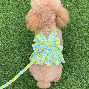 Flower Print Harness Dress and Leash Set Cute Lively Dog Clothes Puppy Harnesses Vest for Cute Cat Clothes Leash Lead Small Dogs Puppy Leash