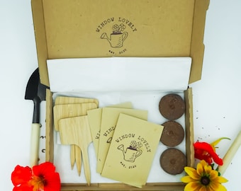 Seed Gift Box, Grow Your Own, Gardening Gift, Seed Kit, Vegetable Seed Kit, Allotment Gift, Allotment Seed Gift Allotment, Windowsill Garden