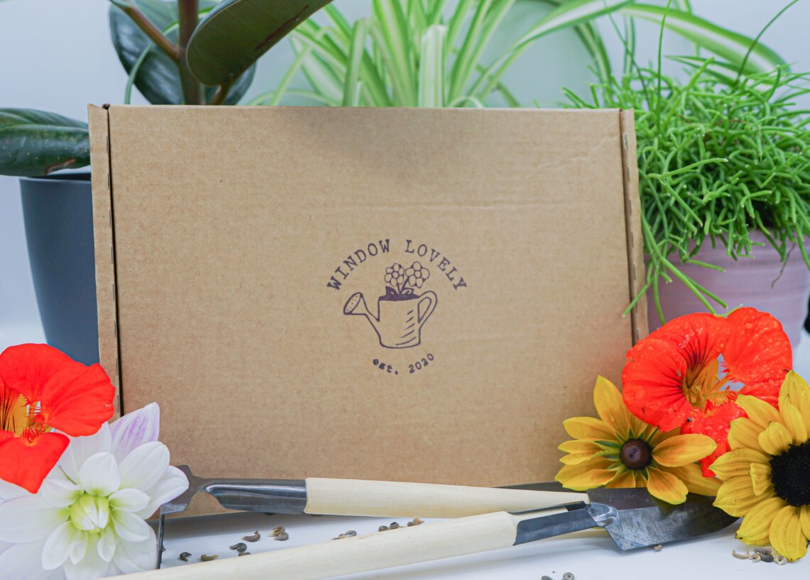 Flower Seed Gift Box Grow Your Own Flowers Gardening Gift Etsy