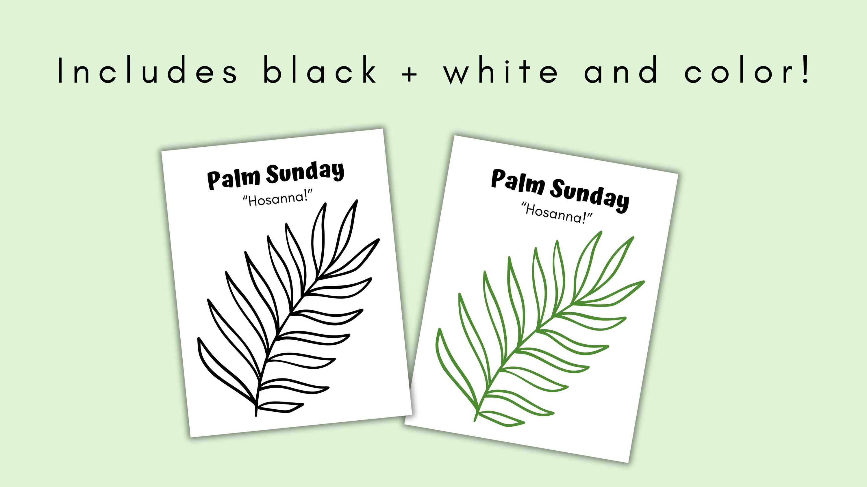 Palm Sunday Craft for Kids, Sunday School Craft Printable, Christian ...