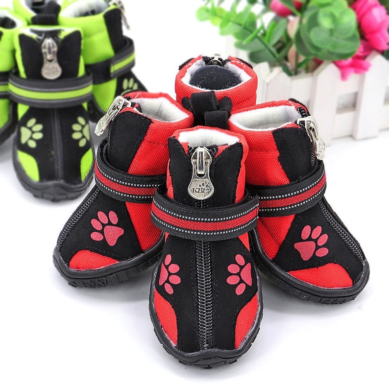 personalized dog shoes