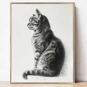 Gato rayado lápiz dibujo impresión vintage gatito boceto pintura enmarcada gato mamá regalo cartel lienzo propietario de la mascota regalo moderno arte de la pared decoración del hogar