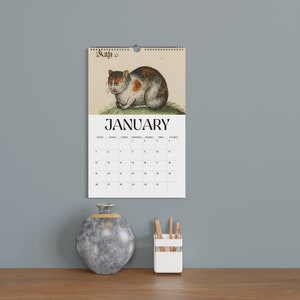 May include: A wall calendar for January featuring a vintage illustration of a cat. The cat is depicted in shades of brown, white, and orange. The word "January" is printed in bold black letters below the illustration. The calendar is hanging on a gray wall.