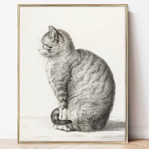 Gato lápiz dibujo impresión vintage gatito boceto pintura enmarcada gato mamá regalo cartel lienzo mascota propietario regalo ecléctico moderno arte de la pared decoración del hogar