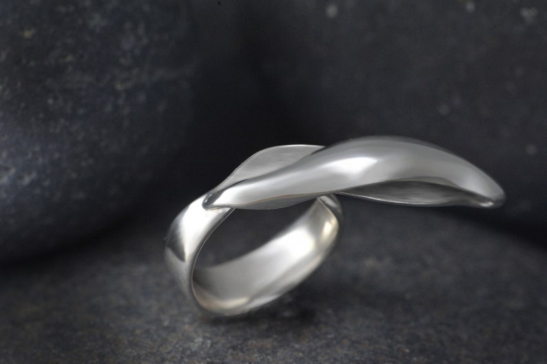 Aether Element Ring, Five elements Ring, Ayuervedic Space Element, Aether Sterling Silver Handmade Adjustable Ring image 3