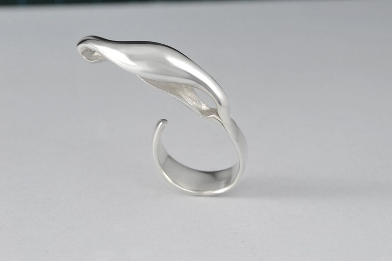 Aether Element Ring, Five elements Ring, Ayuervedic Space Element, Aether Sterling Silver Handmade Adjustable Ring image 1