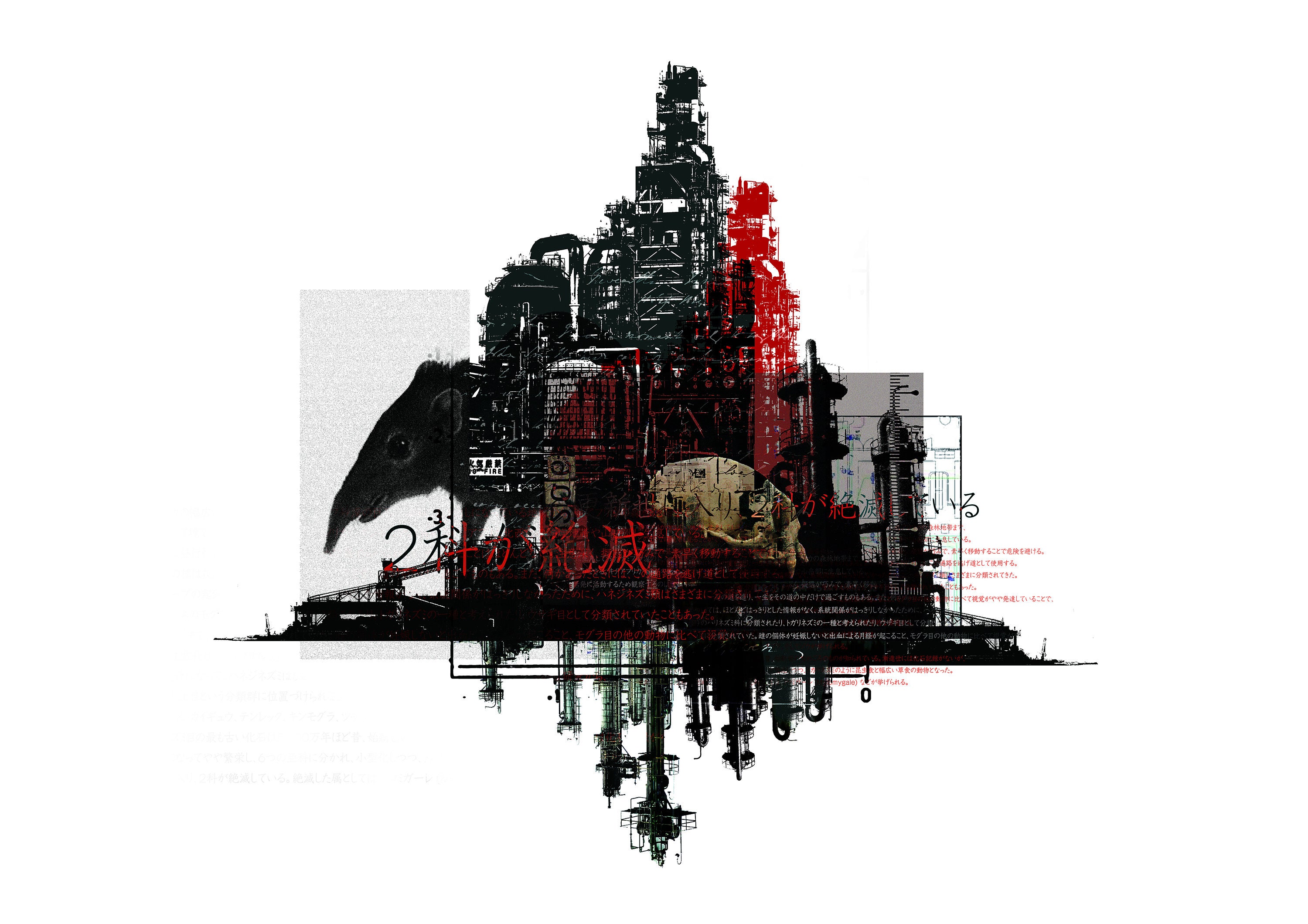 絶滅危惧種 ハネジネズミ Elephant Shrew Etsy