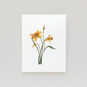 Daffodil Note Cards or Prints