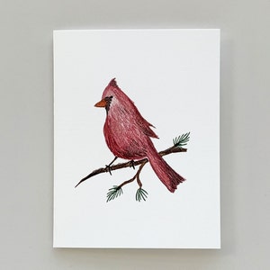 Cardinal Grußkarten und Drucke