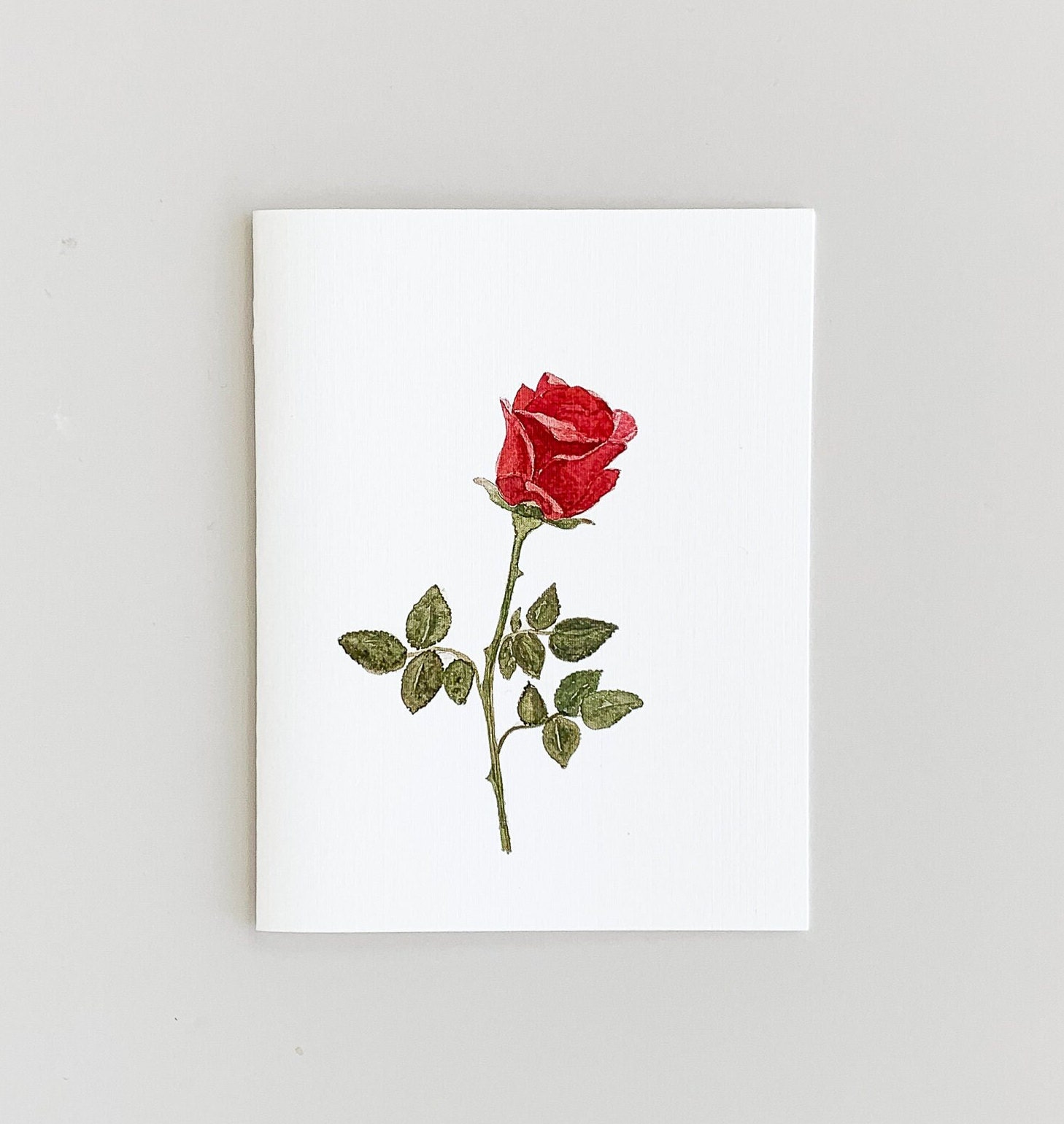 Single Red Rose Note Cards or Prints, Valentines, Valentine Cards ...