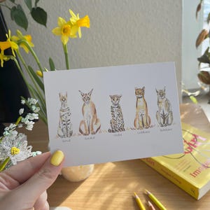 Postkarte: Wildkatzen