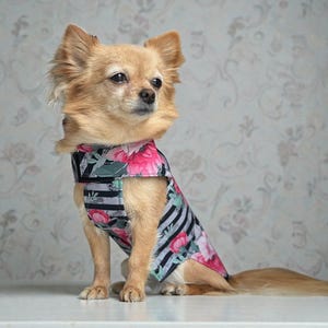 Hund Regenmantel Softshell gestreift Blumenmuster mit Klettverschluss für Chihuahua / kleine Hunde Wasserdicht Hunderegenmantel Bild 5