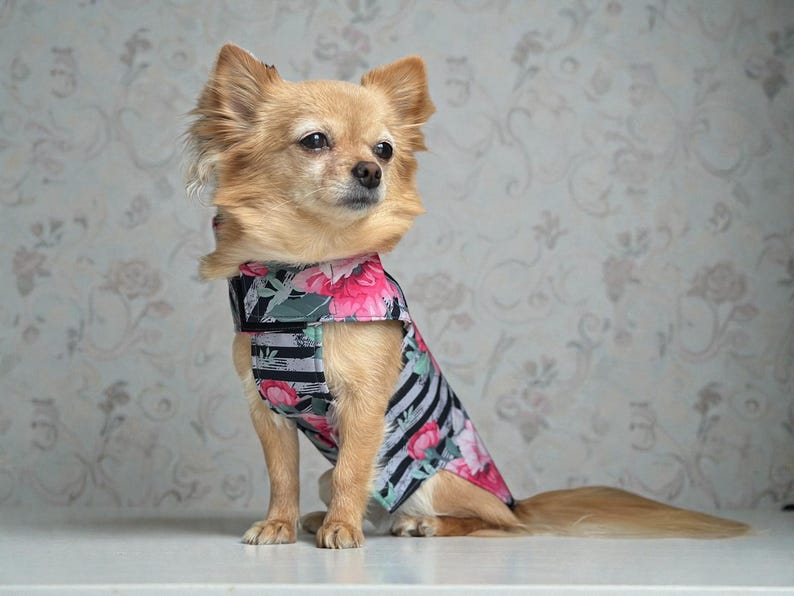 Hund Regenmantel Softshell gestreift Blumenmuster mit Klettverschluss für Chihuahua / kleine Hunde Wasserdicht Hunderegenmantel Bild 5