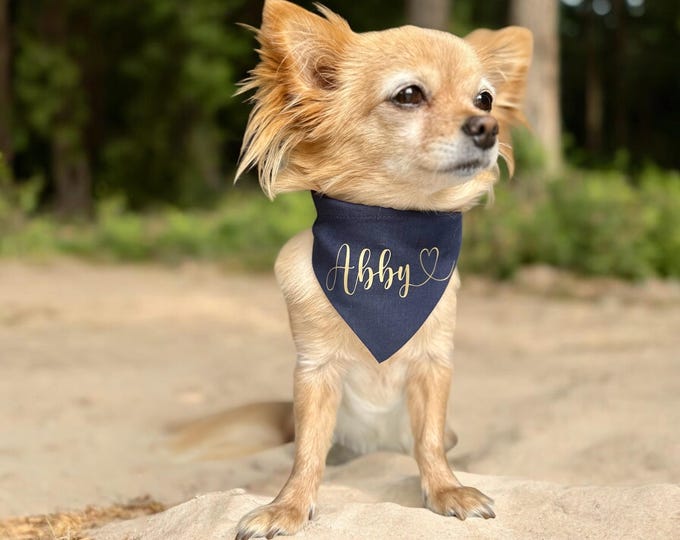 Dog scarf with name and heart personalized for all dog breeds