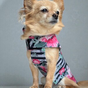 Hund Regenmantel Softshell gestreift Blumenmuster mit Klettverschluss für Chihuahua / kleine Hunde Wasserdicht Hunderegenmantel Bild 6