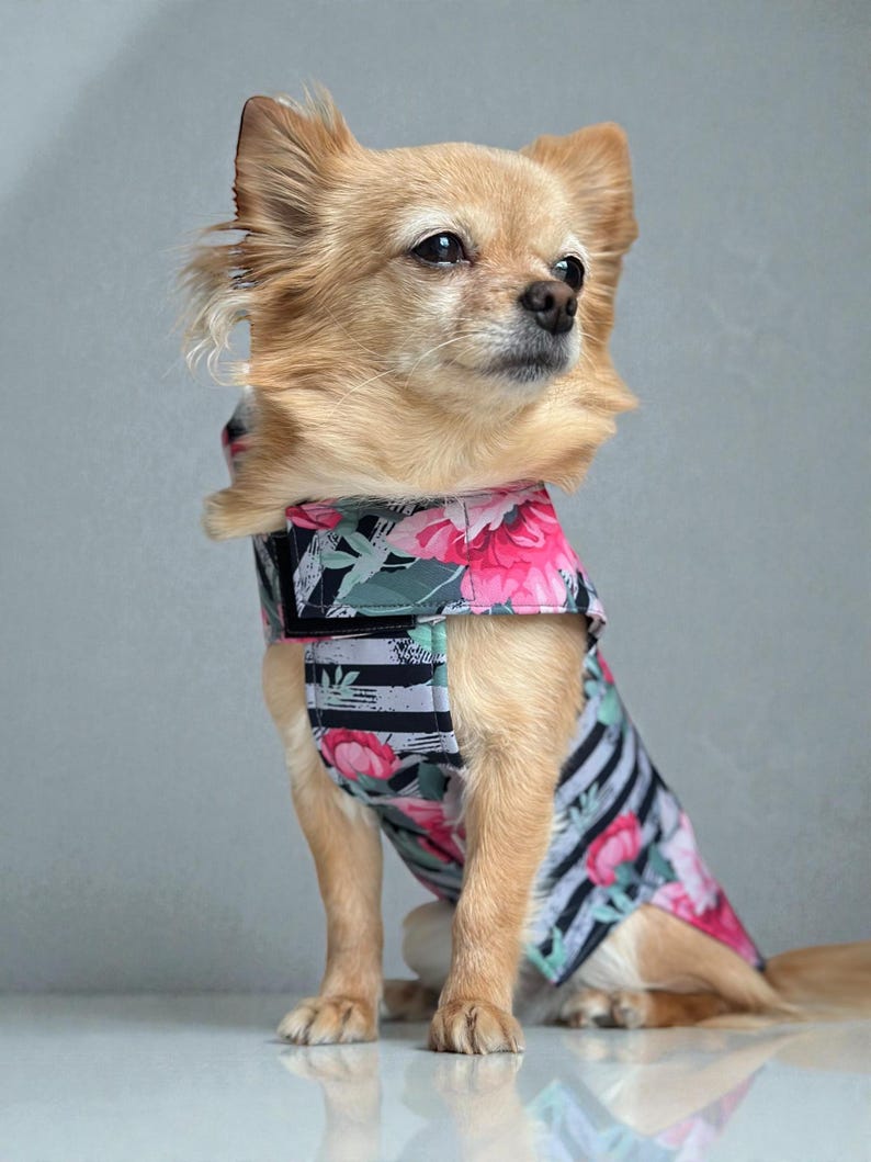 Hund Regenmantel Softshell gestreift Blumenmuster mit Klettverschluss für Chihuahua / kleine Hunde Wasserdicht Hunderegenmantel Bild 6