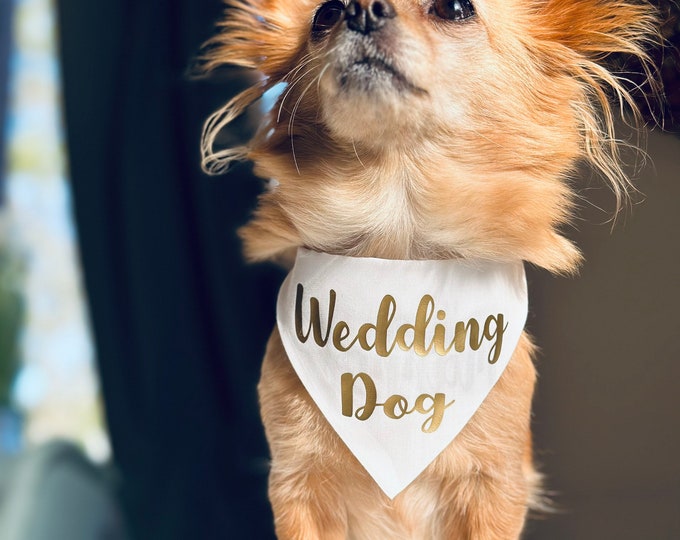 Dog scarf “Wedding Dog” individually personalized white, dog best man scarf