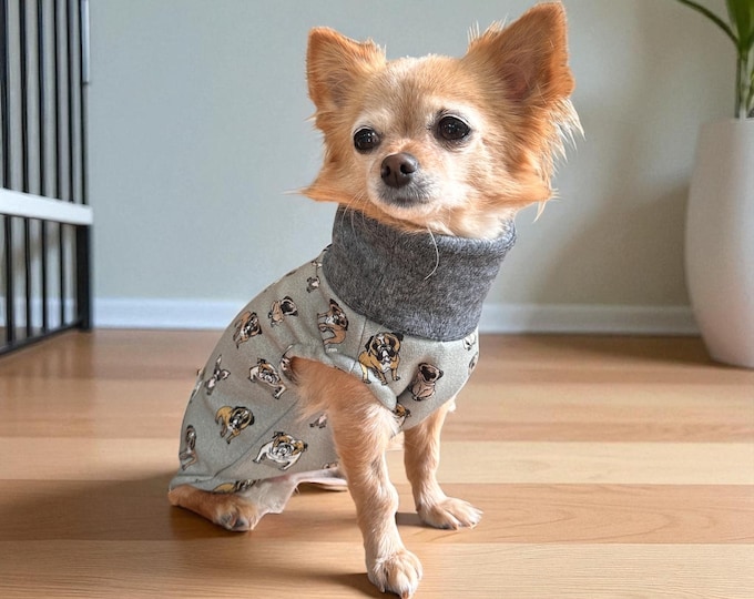 Dog sweater lined cheeky dog gang Chihuahua / small dog sweater