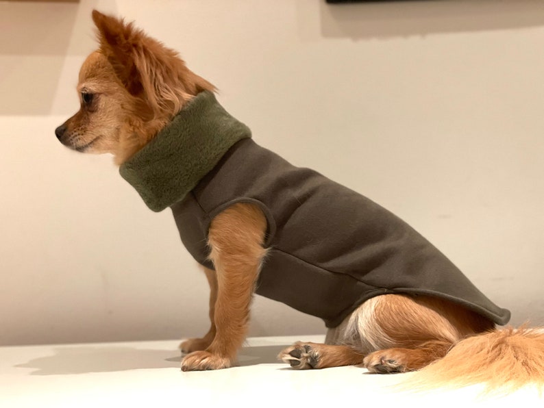 Hundepullover gefüttert in verschiedenen Farben Chihuahua / Kleinhund Pullover Bild 5