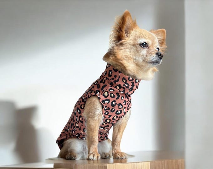 Dog sweater LEO | Chihuahua/small dog sweater