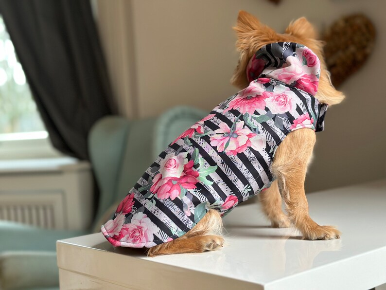 K&ouml;nnte beinhalten: Ein kleiner Hund tr&auml;gt eine schwarz-wei&szlig; gestreifte Kapuzenjacke mit Blumenmuster. Die Jacke hat rosa und wei&szlig;e Blumen auf schwarzem Hintergrund.