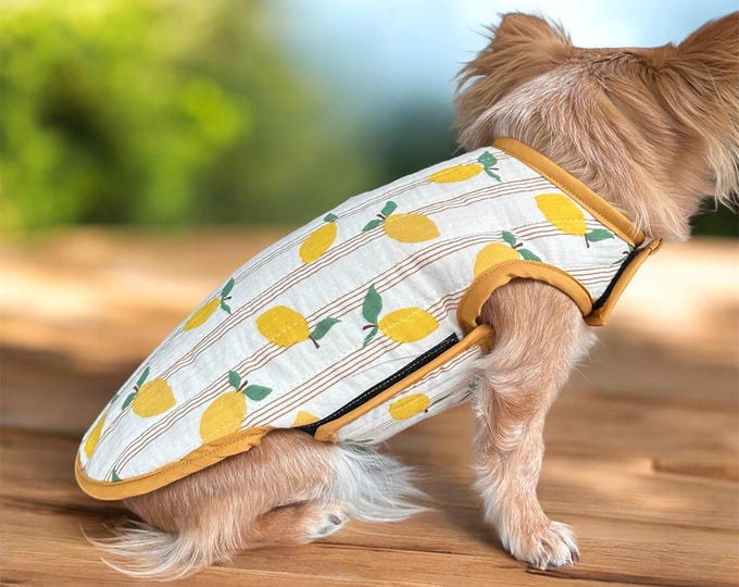 Reversible dog coat with lemon pattern – double-sided with Velcro closure | Dog coat for small dogs / Chihuahuas