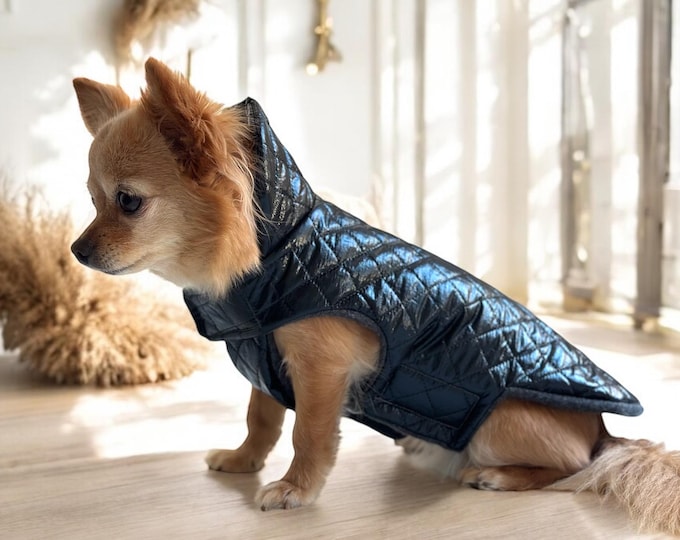 Deluxe dog coat shiny black or metallic for small dog | Chihuahua