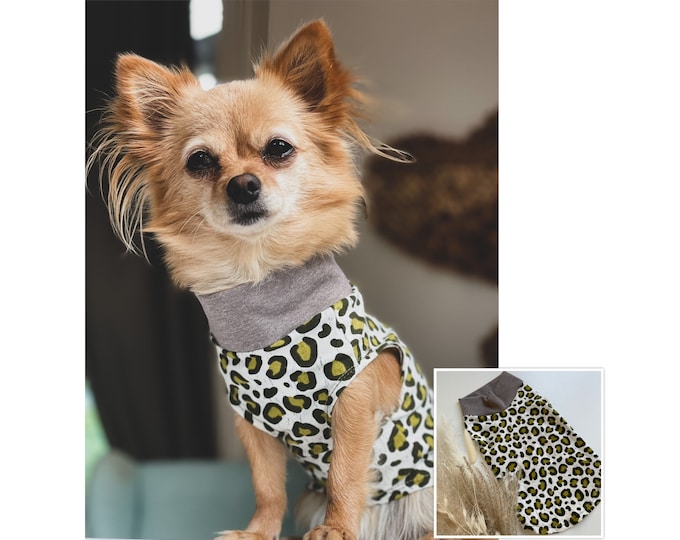 Dog sweater | Leo | Dog sweater | Dog fashion | Dog clothing | Chihuahua sweater | Chihuahua clothing | Leo