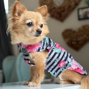 K&ouml;nnte beinhalten: Ein kleiner, hellbrauner Chihuahua, der eine schwarz-wei&szlig; gestreifte Hundejacke mit rosa floralen Akzenten tr&auml;gt. Die Jacke hat ein Blumenmuster mit rosa Rosen und gr&uuml;nen Bl&auml;ttern.