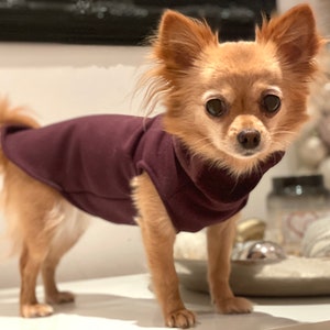 Hundepullover gefüttert in verschiedenen Farben Chihuahua / Kleinhund Pullover Bild 4