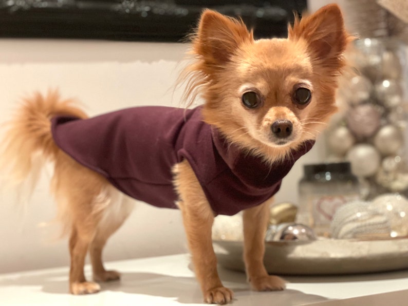 Hundepullover gefüttert in verschiedenen Farben Chihuahua / Kleinhund Pullover Bild 4